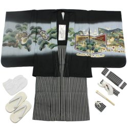 画像3: 七五三5歳着物袴11点セット