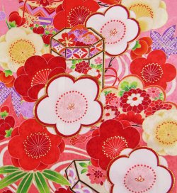 画像2: 七五三女の子7歳着物20点セット正絹