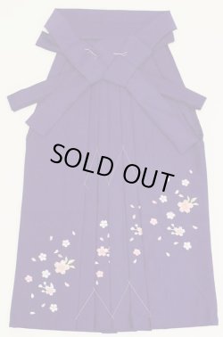 画像1: 七五三７歳用刺繍入り女児袴