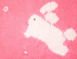 画像7: 七五三正絹絞り梅刺繍うさぎしごき