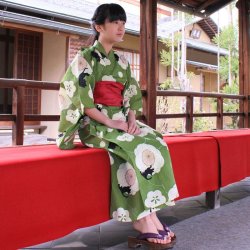 画像7: 女の子ゆかた100サイズ（単品/セット） 梅に猫