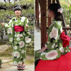 画像8: 女の子ゆかた100サイズ（単品/セット） 梅に猫