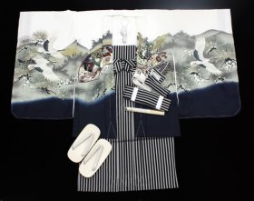 画像: 七五三5歳着物袴11点セット