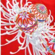画像3: 七五三女の子7歳着物20点セット合繊 (3)