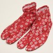 画像1: こどもストレッチたび18〜20cm (1)
