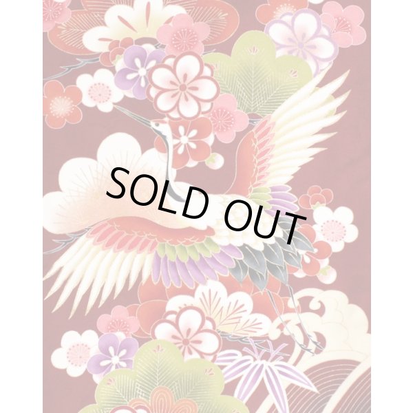 画像2: 二尺袖着物 単品 (2)